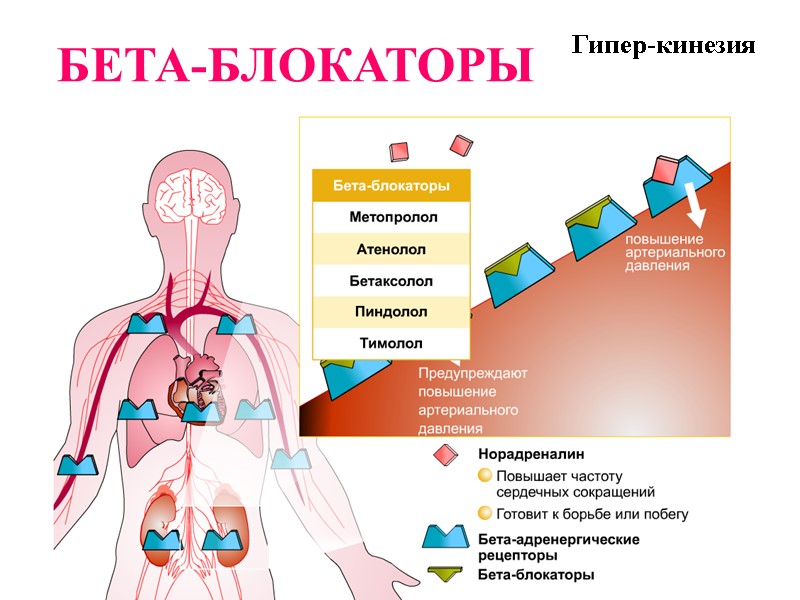 БЕТА-БЛОКАТОРЫ Гипер-кинезия